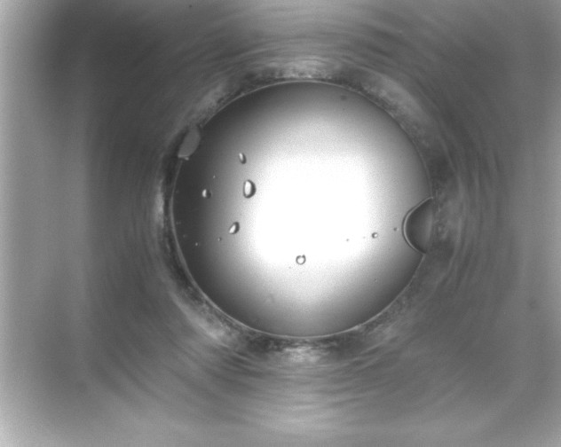 X0000071830310200607072216