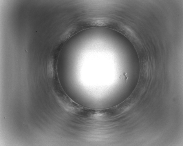 X0000071830312200607072216