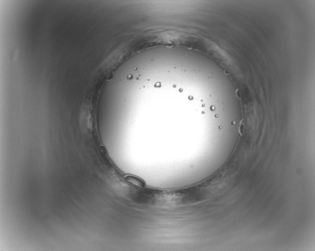 X0000071830313200607072216