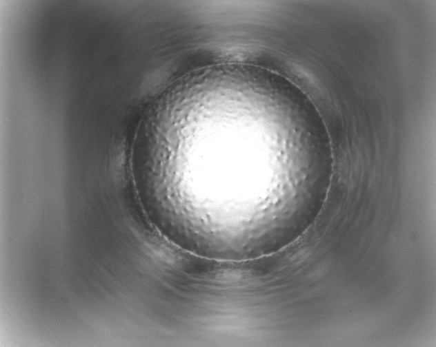 X0000071830314200607072216