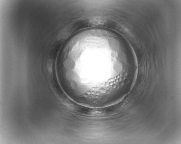 X0000071830315200607072216