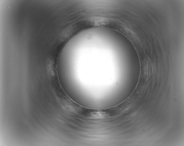 X0000071830316200607072216