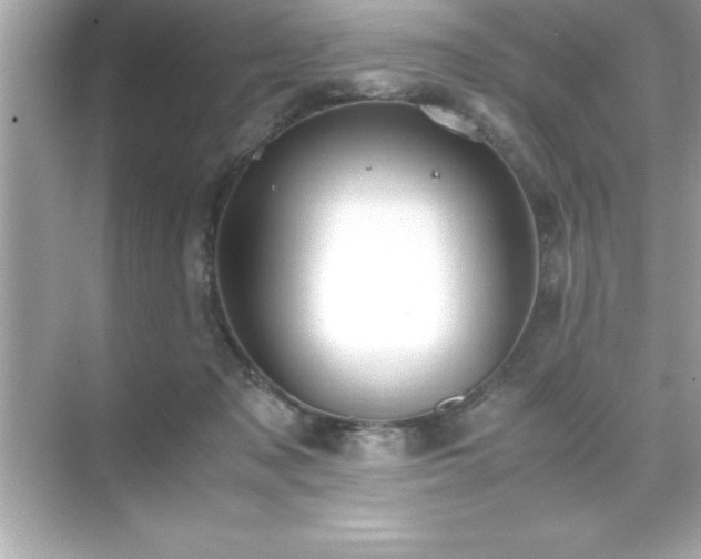 X0000071830317200607072216