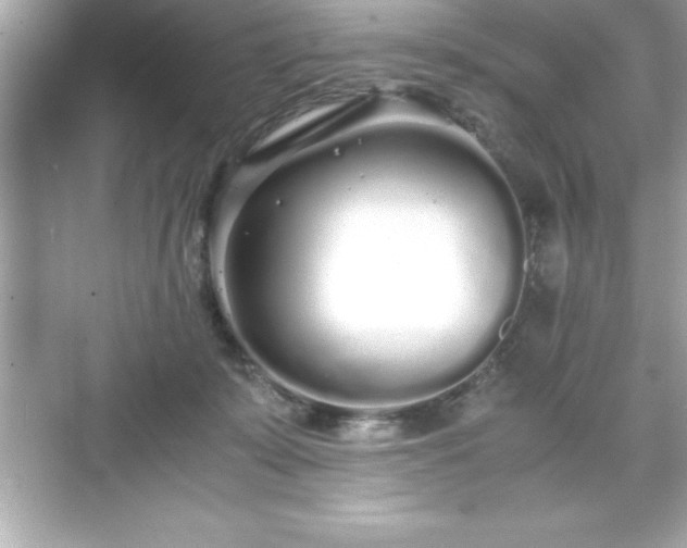 X0000071830319200607072216