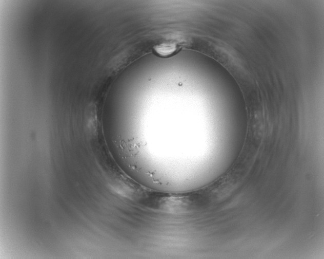 X0000071830320200607072216