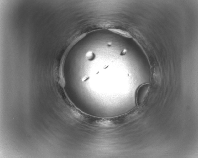 X0000071830322200607072216