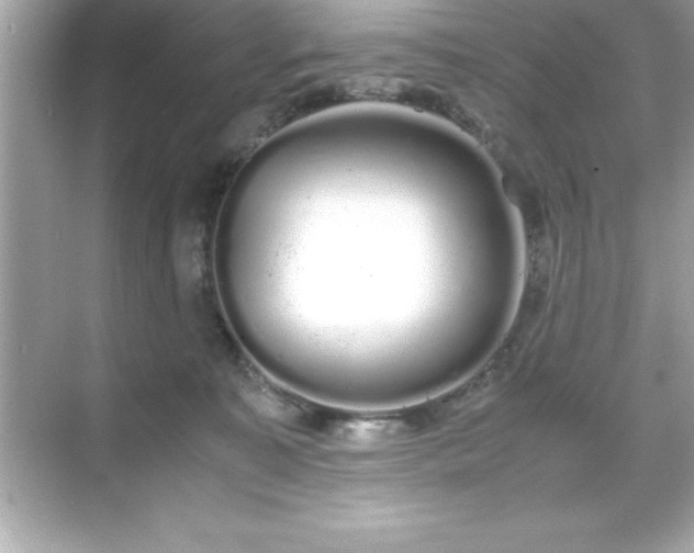 X0000071830323200607072216