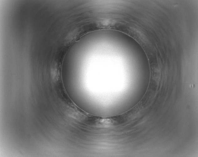 X0000071830324200607072216