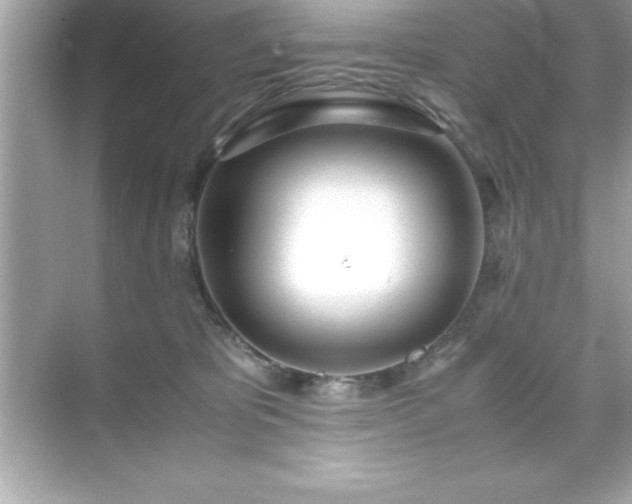 X0000071830325200607072216