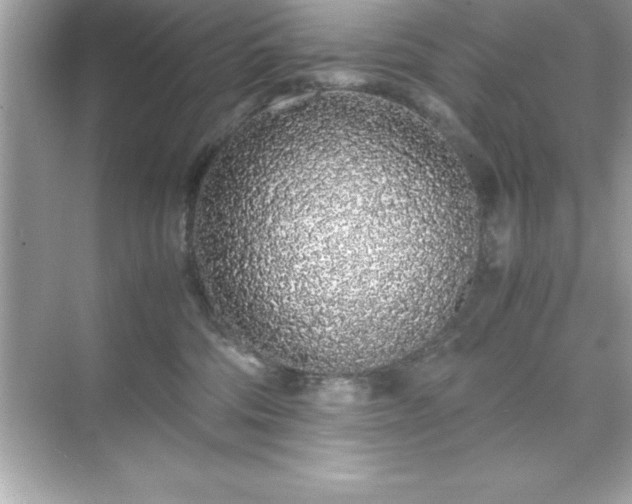 X0000071830330200607072216