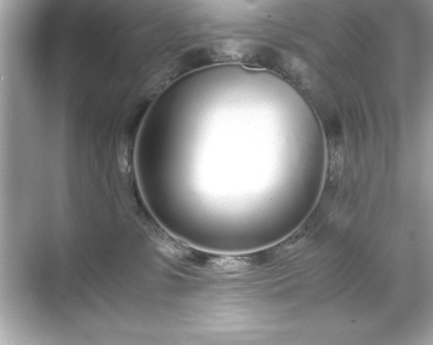 X0000071830331200607072216