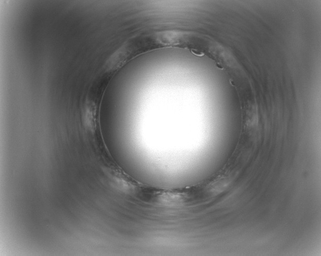 X0000071830332200607072216