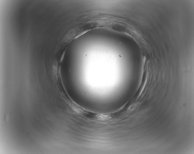 X0000071830333200607072216