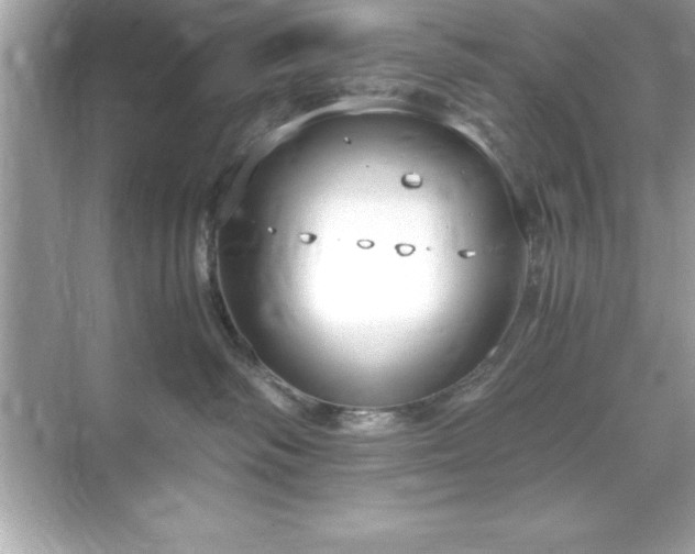 X0000071830334200607072216