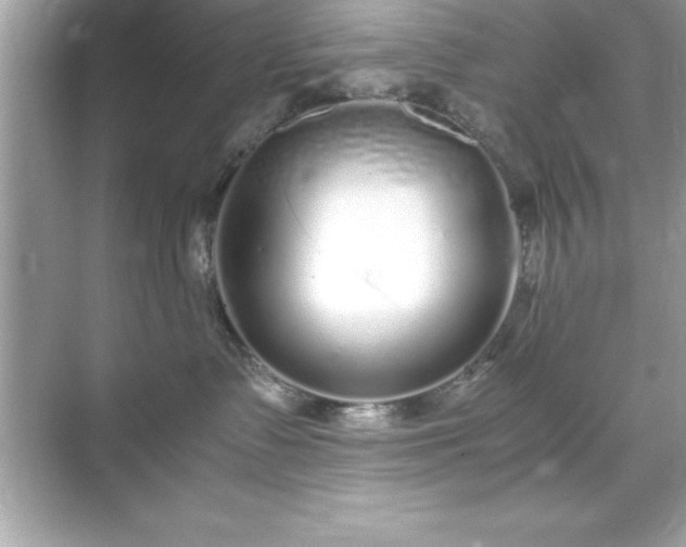 X0000071830335200607072216