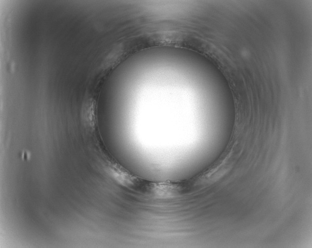 X0000071830336200607072216