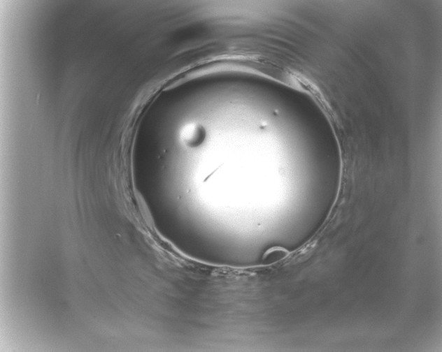 X0000071830337200607072215