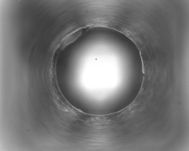 X0000071830338200607072215