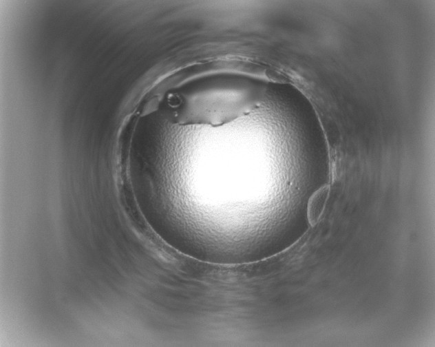 X0000071830339200607072215