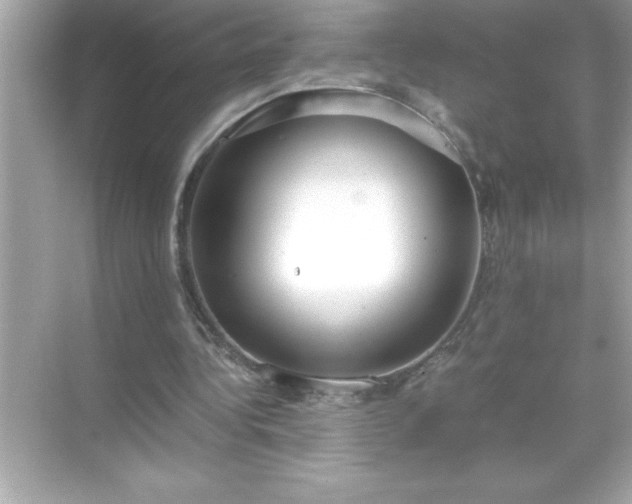 X0000071830340200607072215