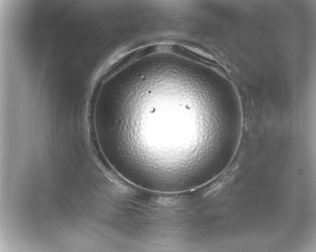 X0000071830341200607072215