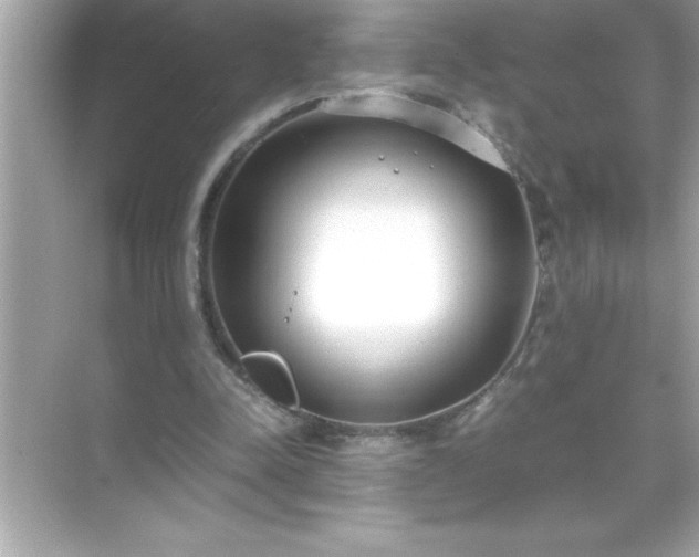 X0000071830342200607072215