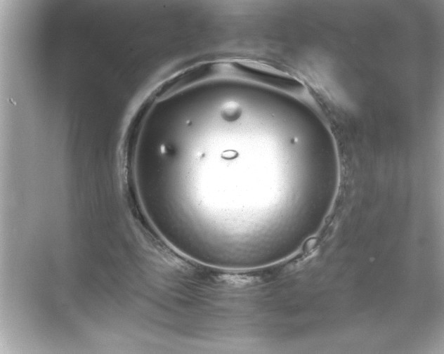 X0000071830343200607072215