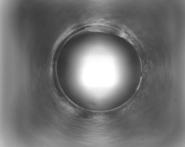 X0000071830344200607072215