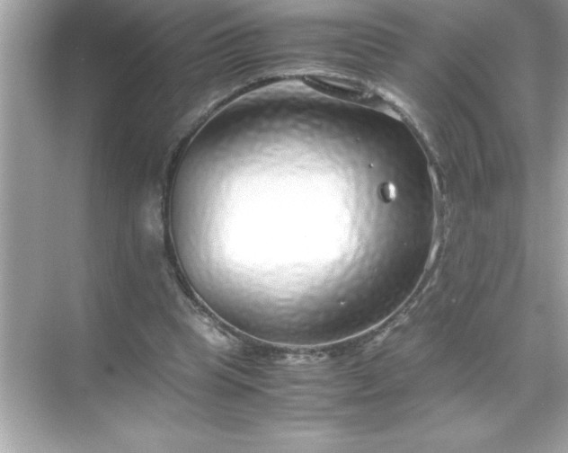 X0000071830345200607072215