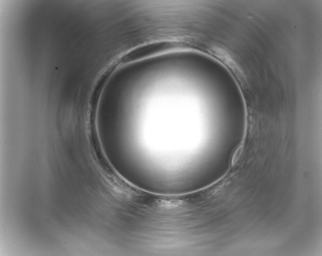 X0000071830346200607072215