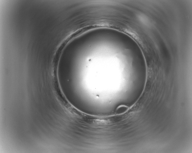 X0000071830347200607072215