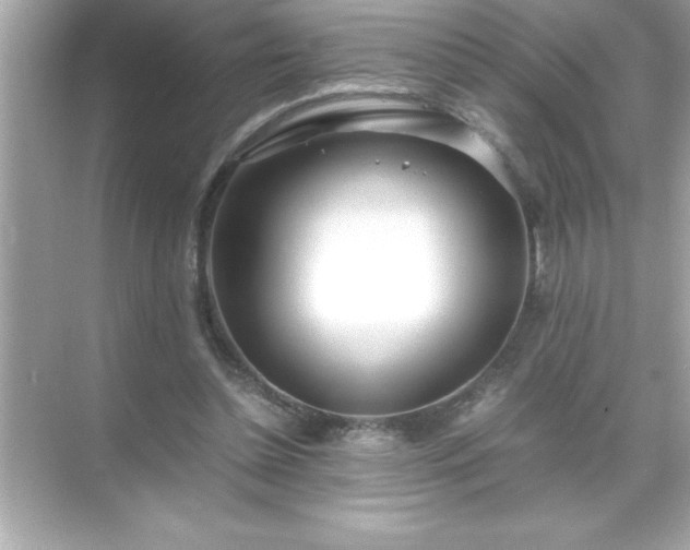 X0000071830348200607072215