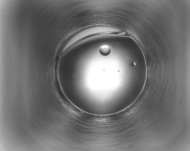 X0000071830349200607072215