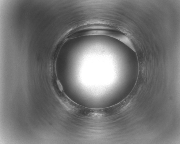 X0000071830352200607072215