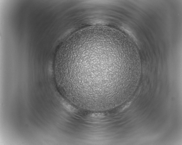 X0000071830353200607072215