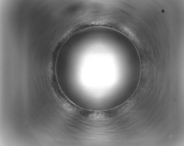 X0000071830354200607072215