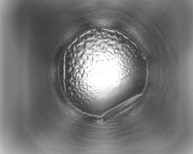 X0000071830355200607072215