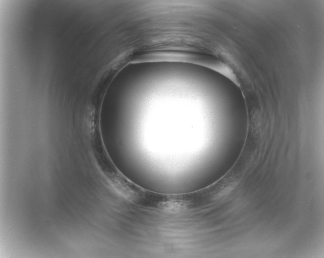 X0000071830356200607072216