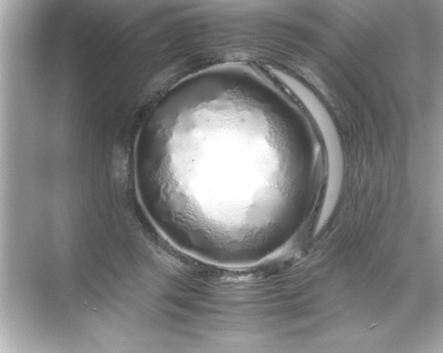 X0000071830357200607072216