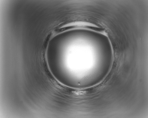 X0000071830359200607072216