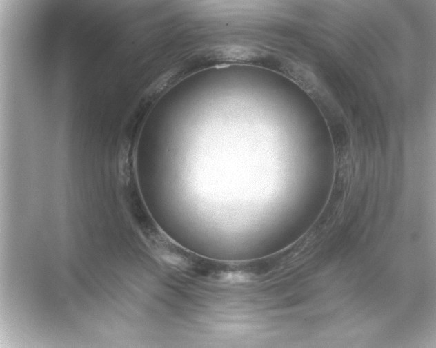 X0000071830360200607072216