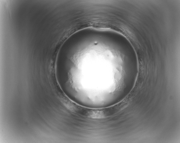 X0000071830361200607072216