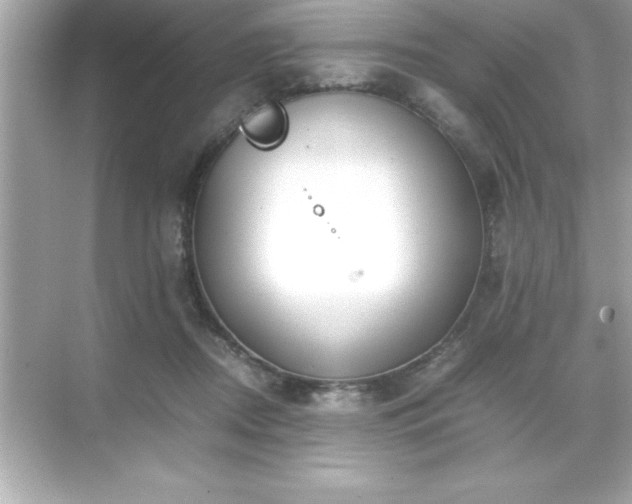 X0000071830362200607072216