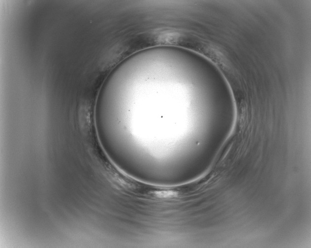 X0000071830363200607072216