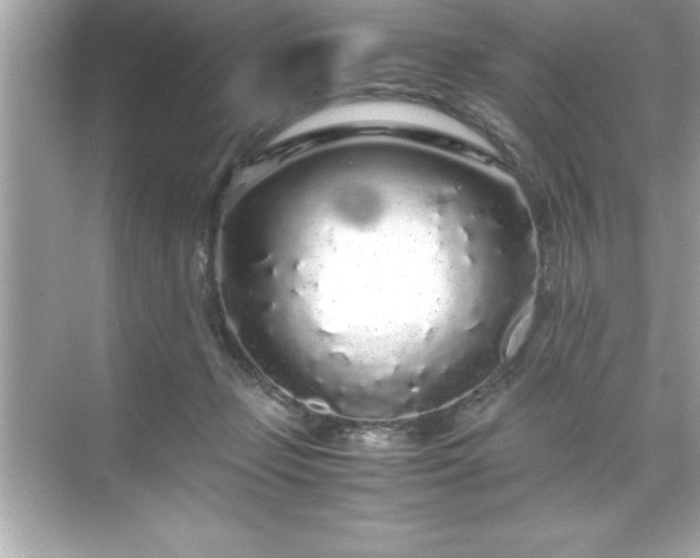 X0000071830365200607072216