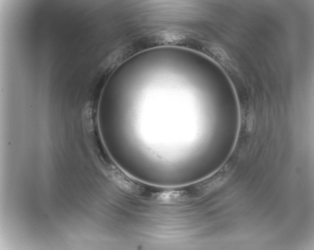 X0000071830366200607072216