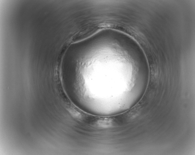 X0000071830369200607072216