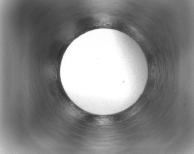 X0000071830370200607072216