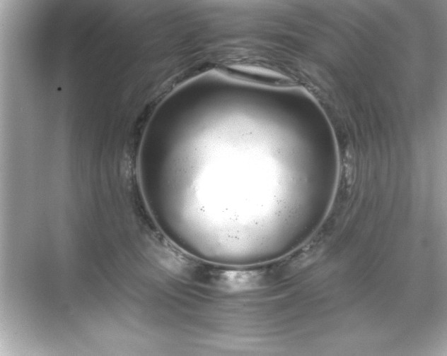 X0000071830371200607072216