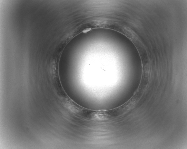 X0000071830372200607072216